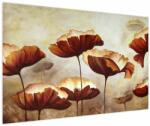 Mivali Tablou flori roșii (V021776V12080)