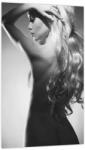 Mivali Tablou - Nud feminin, dintr-o bucată 20x30 cm (V024039V2030)