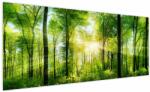 Mivali Tablou - Răsărit în pădure, dintr-o bucată 250x125 cm (V022345V250125)