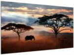 Mivali Tablou - Parcul Național Serengeti, Tanzania, Africa, dintr-o bucată 120x70 cm (V023034V12070)