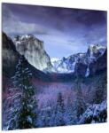 Mivali Tablou - Yosemite, USA, dintr-o bucată 50x50 cm (V021518V5050)