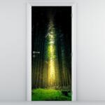 Mivali Fototapet pentru ușă - Pădurea Întunecată (D020705D95205)