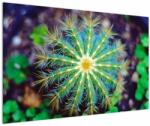 Mivali Tablou cu cactus, dintr-o bucată 120x80 cm (V020556V12080)