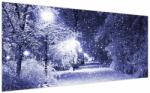 Mivali Tablou - Noaptea magică de iarnă, dintr-o bucată 200x100 cm (V023263V200100)