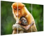 Mivali Tablou cu maimuțe, din trei bucăți 120x80 cm (V020416V120803PCS)