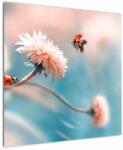 Mivali Tablou - Buburuze pe floare, dintr-o bucată 70x70 cm (V022367V7070)