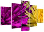 Mivali Tablou - detailu cu flori, din cinci bucăți 150x105 cm (V020201V150105)
