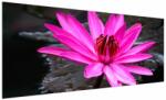 Mivali Tablou - floarea roz, dintr-o bucată 250x125 cm (V020636V250125)