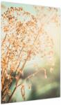 Mivali Tablou - Plante de luncă, dintr-o bucată 50x70 cm (V023850V5070)