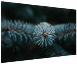 Mivali Tablou -Crenguțe ale unui conifer, dintr-o bucată 150x100 cm (V022700V150100)