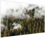 Mivali Tablou - Pădure în nori, dintr-o bucată 150x100 cm (V022666V150100)