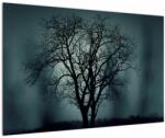 Mivali Tablou copaci în eclipsă, dintr-o bucată 90x60 cm (V020675V9060)