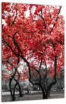 Mivali Tablou - Copacii roșii, Central Park, New York, dintr-o bucată 30x40 cm (V022930V3040)