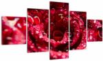 Mivali Tablou cu floarea trandafirului roșu, din cinci bucăți 125x70 cm (V020009V12570)