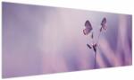 Mivali Tablou - Fluturi mov, dintr-o bucată 145x58 cm (V023913V14558)