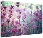 Mivali Tablou - Lavandă, dintr-o bucată 100x70 cm (V022328V10070)