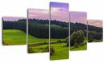 Mivali Tablou cu lunca, din cinci bucăți 125x70 cm (V020343V12570)