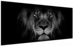 Mivali Tablou - Leu majestic, dintr-o bucată 200x100 cm (V022102V200100)