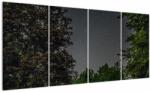 Mivali Tablou cu cerul nocturn, din patru bucăți 160x80 cm (V020998V16080)