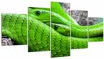 Mivali Tablou cu șerpi verzi, din cinci bucăți 150x80 cm (V020689V150805PCS)