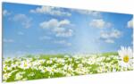 Mivali Tablou cu luncă înflorită cu margarete, dintr-o bucată 120x50 cm (V021906V12050)