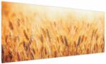 Mivali Tablou - câmp cu grâne, dintr-o bucată 250x125 cm (V022021V250125)