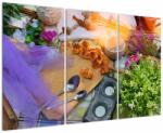Mivali Tablou - picnic de vară, din trei bucăți 120x80 cm (V020299V120803PCS)