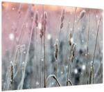 Mivali Tablou - Moment, dintr-o bucată 70x50 cm (V023902V7050)