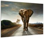 Mivali Tablou pe sticlă cu elefant, dintr-o bucată 70x50 cm pe sticlă (V022219V7050GD)
