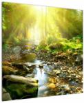 Mivali Tablou cu râul în pădurea verde, dintr-o bucată 70x70 cm (V020942V7070)