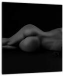 Mivali Tablou - Femeia întinsă nud, dintr-o bucată 30x30 cm (V022896V3030)