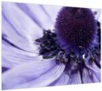 Mivali Tablou - Floare mov, dintr-o bucată 70x50 cm (V023717V7050)