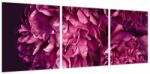 Mivali Tablou - Floarea bujorului, din trei bucăți 90x30 cm (V023999V9030)