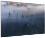 Mivali Tablou - Pădure în ceță, Carpați, Ucraina, dintr-o bucată 90x60 cm (V023077V9060)