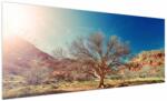 Mivali Tablou cu cu copac în deșert, dintr-o bucată 250x125 cm (V021260V250125)