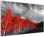Mivali Tablou - Copaci în culorile toamnei, dintr-o bucată 120x80 cm (V022052V12080)