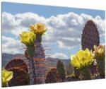 Mivali Tablou cu floarea de cactus Opunție, dintr-o bucată 90x60 cm (V021553V9060)