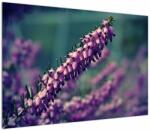 Mivali Tablou cu floare violetă, dintr-o bucată 100x70 cm (V020421V10070)