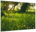 Mivali Tablou cu natura - lunca, dintr-o bucată 70x50 cm (V020157V7050)