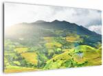 Mivali Tablou plantație, dintr-o bucată 120x70 cm (V020635V12070)