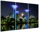 Mivali Tablou cu lună plină în grădinile din Singapur, din trei bucăți 120x80 cm (V021710V120803PCS)