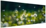 Mivali Tablou - Iarbă, dintr-o bucată 250x125 cm (V024003V250125)