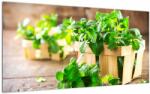 Mivali Tablou pe sticlă cu menta proaspătă, dintr-o bucată 100x50 cm pe sticlă (V020703V10050GD)