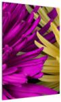 Mivali Tablou - detailu cu flori, dintr-o bucată 50x70 cm (V020201V5070)