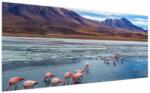 Mivali Tablou - Flamingo, dintr-o bucată 200x100 cm (V023797V200100)