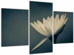 Mivali Tablou cu flori, din trei bucăți 90x60 cm (V021223V90603PCS)