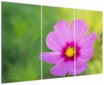 Mivali Tablou - floare de câmp, din trei bucăți 120x80 cm (V020285V120803PCS)