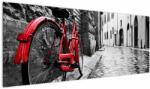 Mivali Tablou - Bicicleta roșie pe o stradă pavată, dintr-o bucată 145x58 cm (V023213V14558)