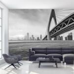Mivali Fototapeta - Apus de soare în Chongqing, alb-negru, vlies, 441x306 cm (T100473TQ9)