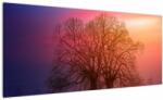 Mivali Tabloul pomilor în ceață, dintr-o bucată 100x40 cm (V020088V10040)